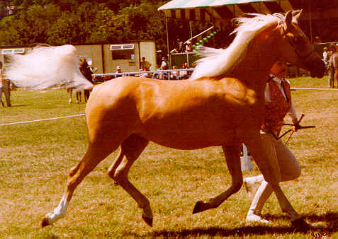 mon.jpg (31013 bytes)